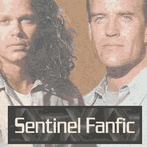 Sentinel Fanfic